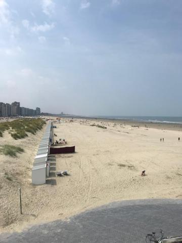 Apollo 1 Appartamento Nieuwpoort Esterno foto