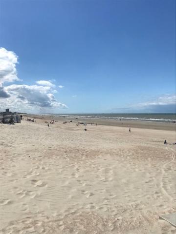 Apollo 1 Appartamento Nieuwpoort Esterno foto